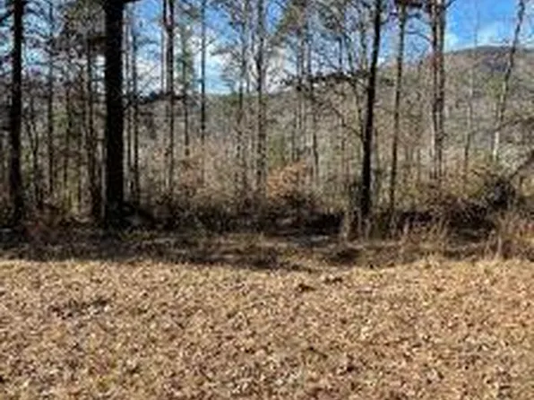 (undisclosed Address), Hagarville, AR 72839