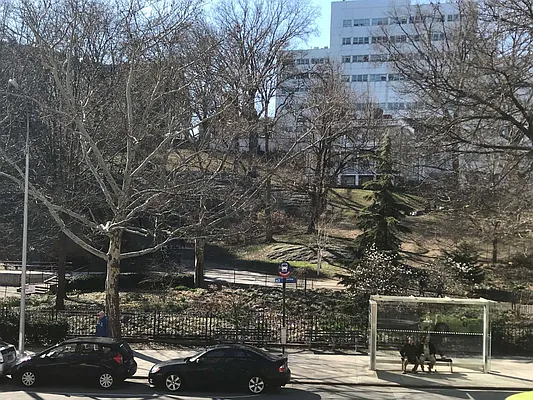 Rented by Living New York | media 2