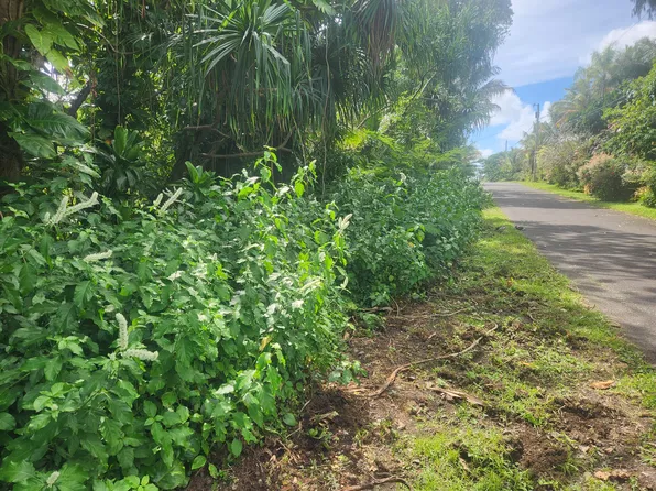 W Pohakupele Loop Lot 116, Pahoa, HI 96778