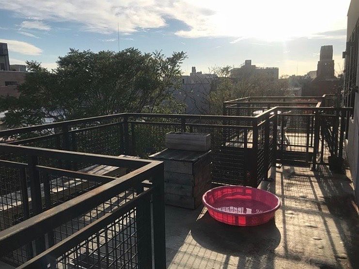 1st image of 82 Jefferson St #Lb2