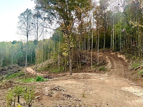 3rd image of 0 Ray Johnson Rd