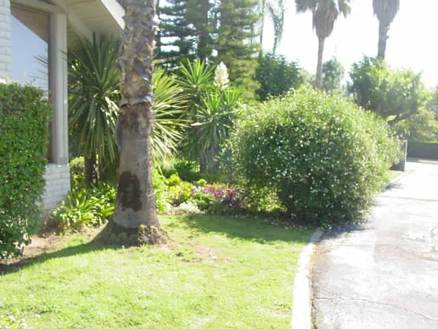 Browning Ave — Photo 5