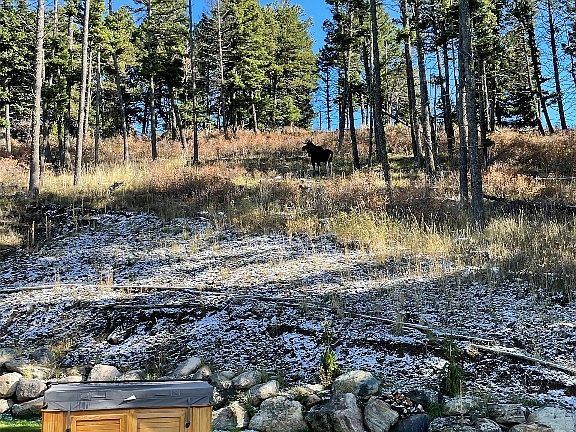 5th image of 182 Elk Ridge Rd