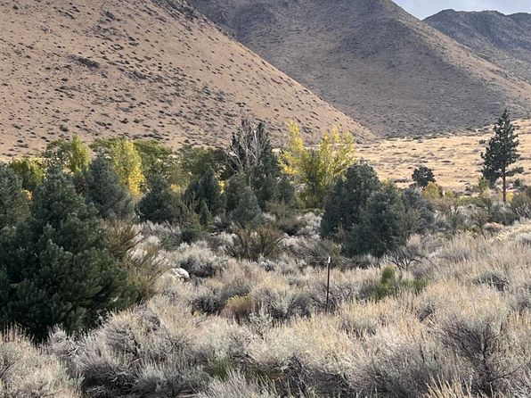 10 E Mill Creek Rd, Coleville, CA 96107