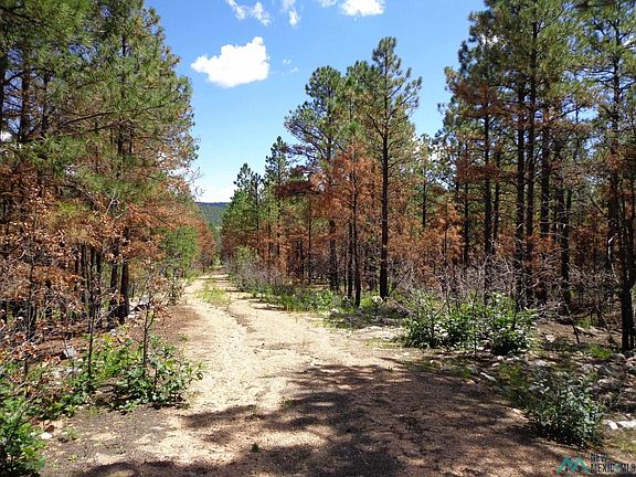 2nd image of 1161 State Highway 434