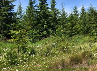 112 Nakano Ln, Toledo, WA 98591