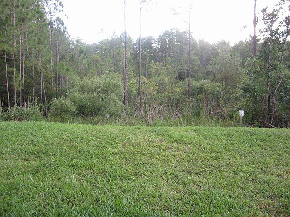 Backyard-Conservation Area