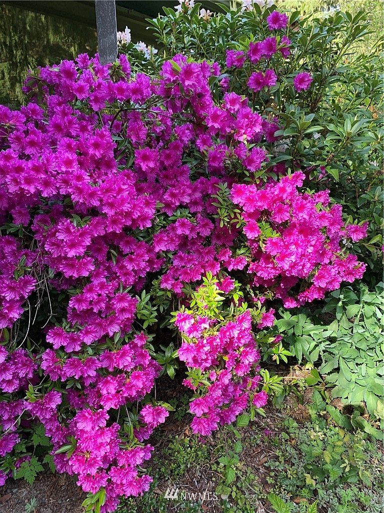 Coupeville, WA 98239