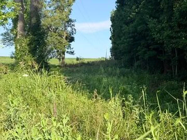 1350 Norwood Mount Zion Rd, Science Hill, KY 42553
