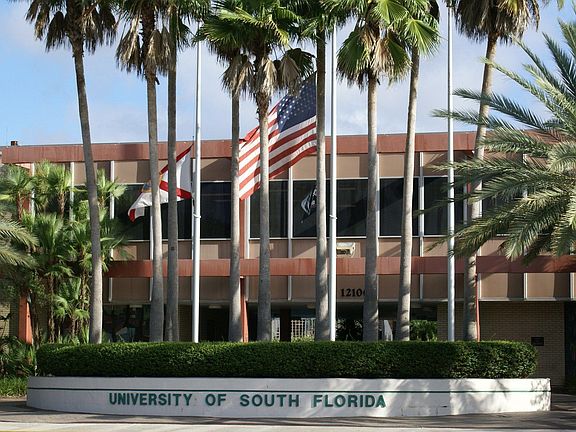 USF