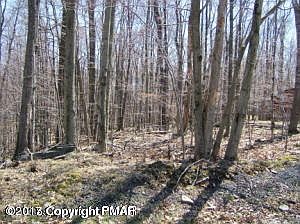 1st image of A231 Blue Spruce Ln