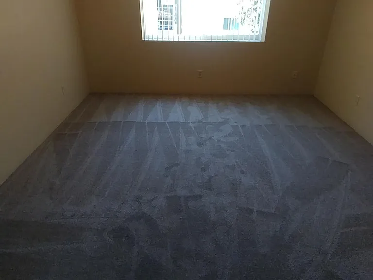 7425 Charmant Dr #2814 — Photo 11