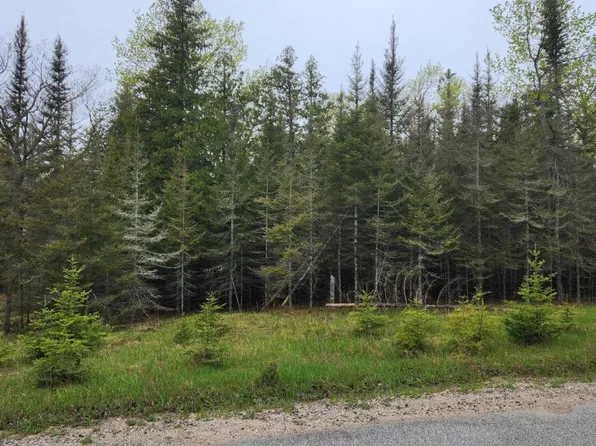 E Old Ferry Dr Lot 2, Drummond Island, MI 49726