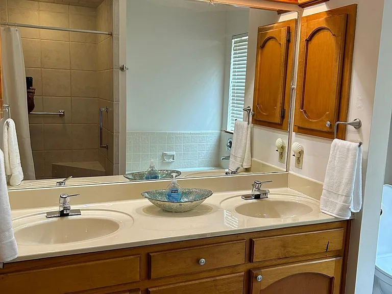 Master bedroom bath