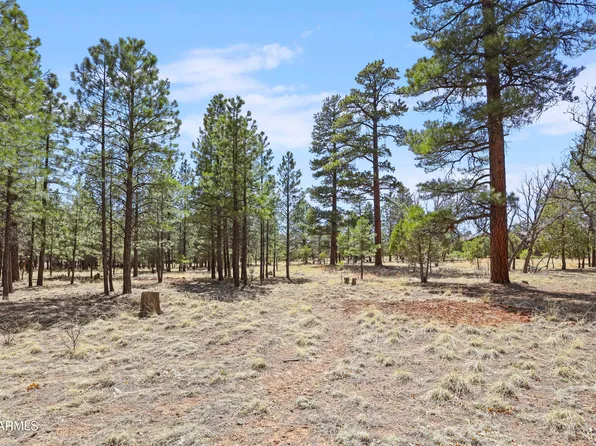 1755 SUGAR PINE Drive #232, Happy Jack, AZ 86024