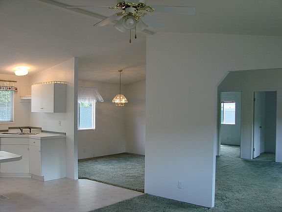 5th image of 503 Damian Cir