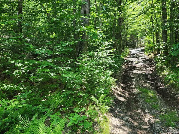 Potato Hill Road Lot 309, Unity, NH 03603