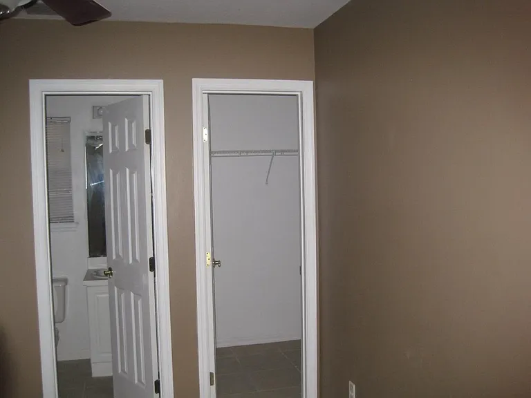 Master Bathroom and Walk In Closet