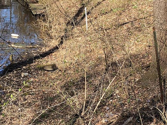 3rd image of 207 Lake Thunderbird Dr