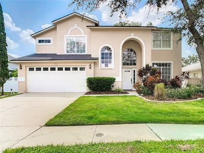 17756 Esprit Dr, Tampa, FL, 33647