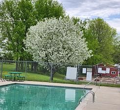 1st image of 2945 County Road 4 SW #65