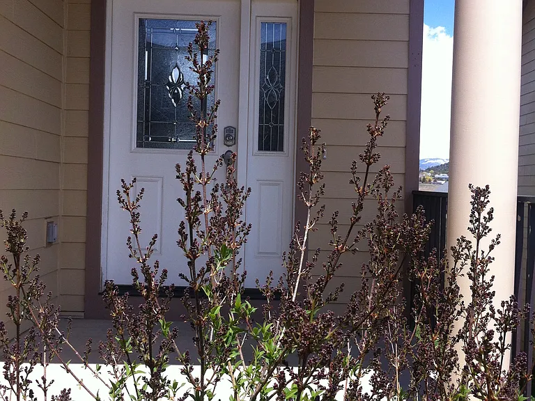 109 Cinnamon Dr #4 — Photo 23