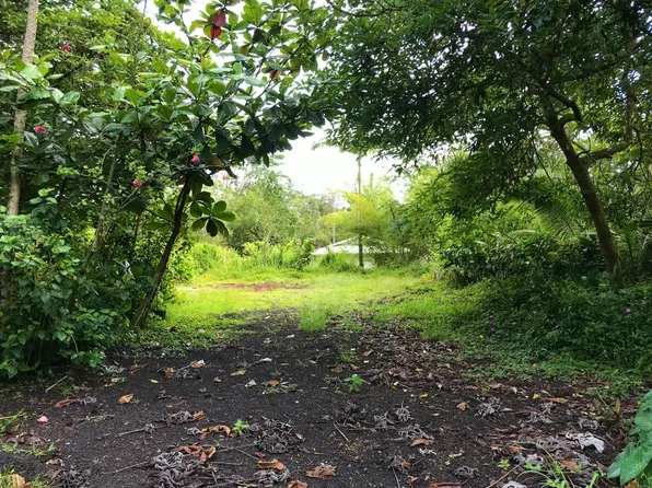 14-3405 Maui Rd Lot 1012, Pahoa, HI 96778