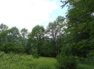 1181 Vega Mountain Rd, Denver, NY 12421