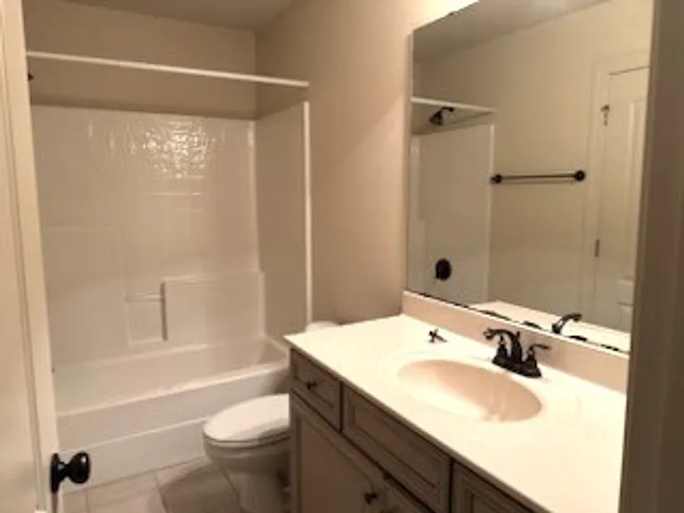 217 Asheton Lakes Way — Photo 11