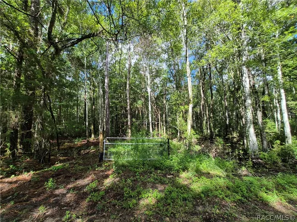 10622 S Le Baron Dr, Homosassa, FL 34448