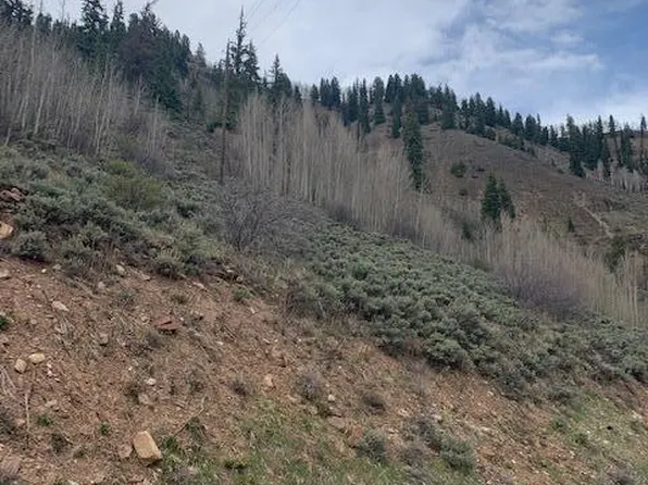 0 High St, Red Cliff, CO 81649