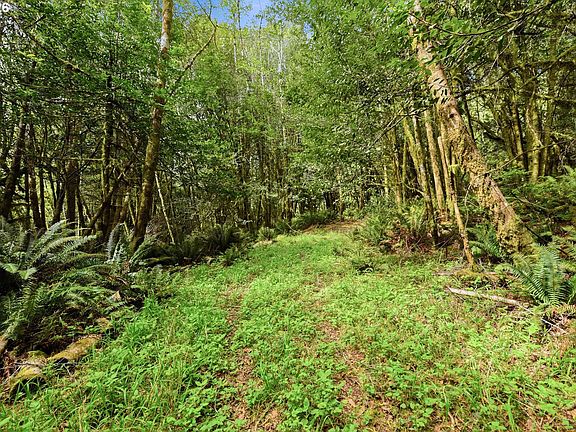 5th image of 0 Cougar Rd