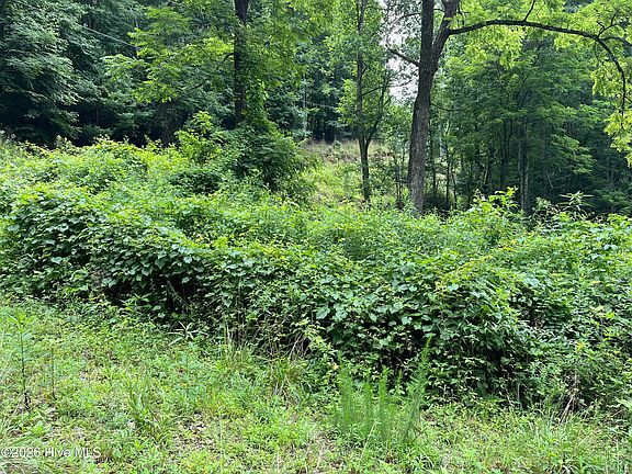 3rd image of Lots 28/29 Bates Creek Road