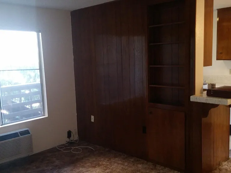 Paneled wall with Built in book case