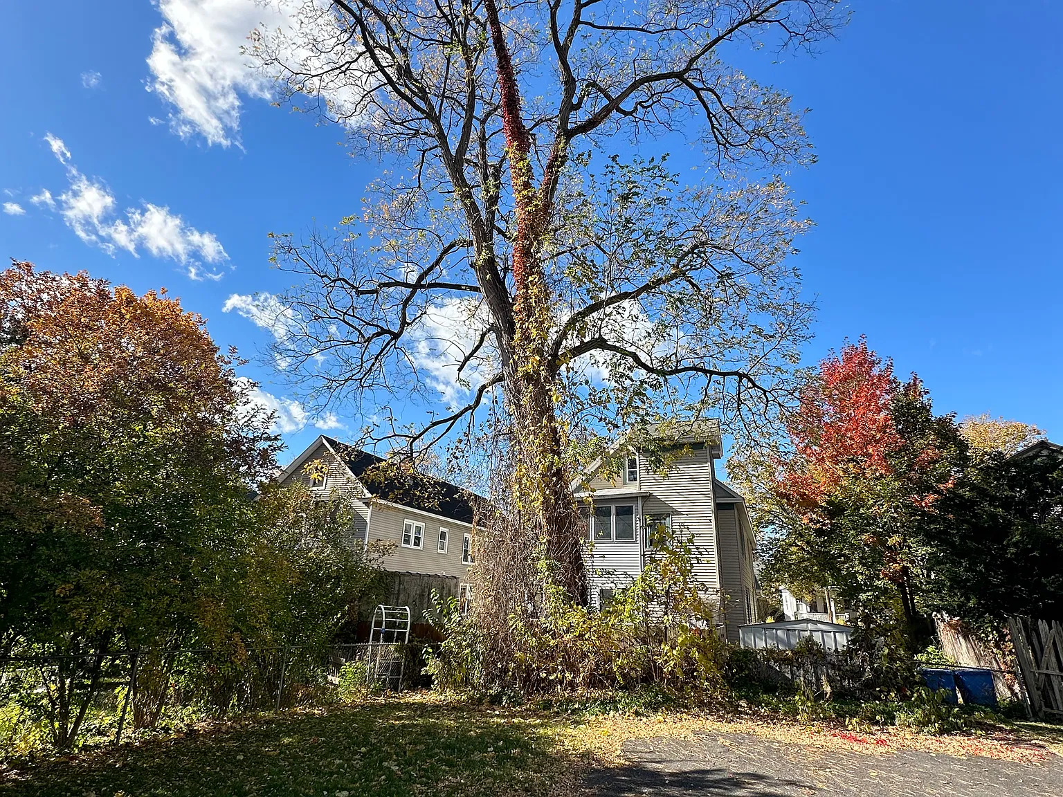2 bed, 1100 sqft, $1,850 — Photo 4