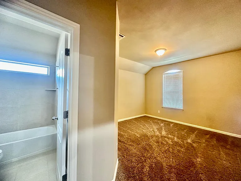 4001 Muscadine Dr — Photo 20