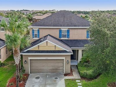 27119 Carolina Aster Dr, Wesley Chapel, FL, 33544