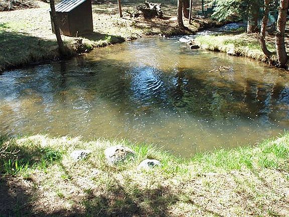 Creek and Pond in yard