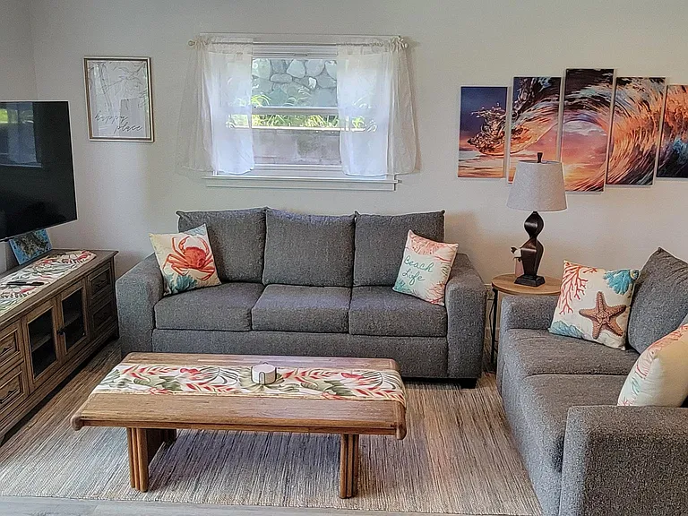 New living room furniture with sleeper sofa
