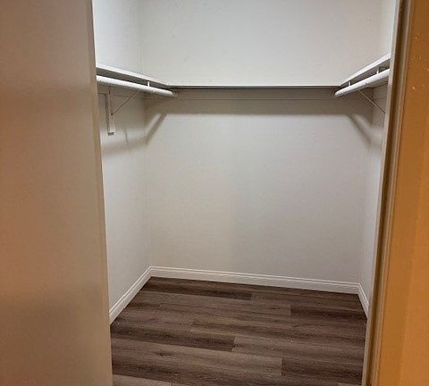 5th image of 26005 Oak St #10
