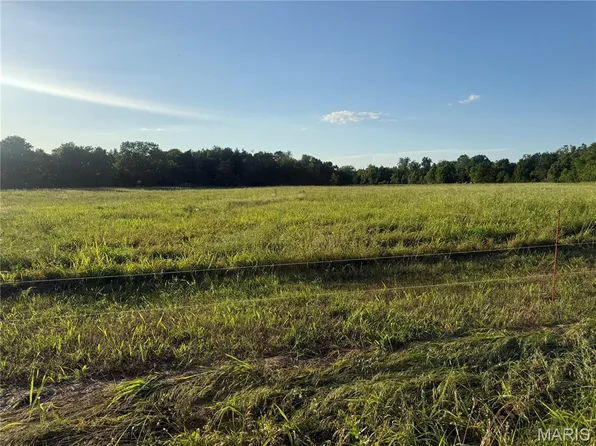 Madison 501 Off Hwy #67, Fredericktown, MO 63645