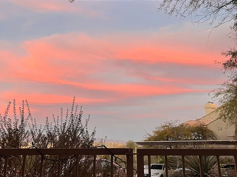 View from the Patio