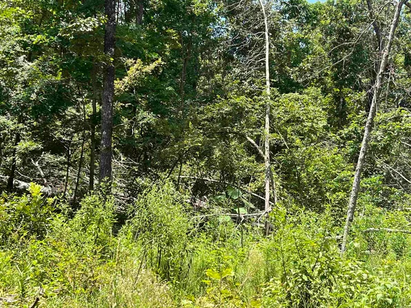0 Foxfield Rd, Mammoth Spring, AR 72554