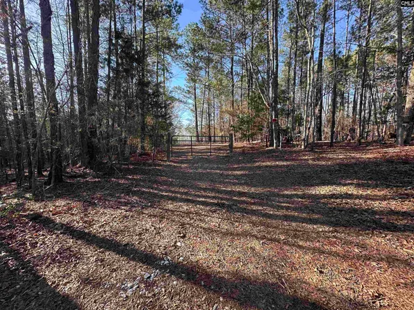 495 Shivers Green Rd, Ridgeway, SC 29130