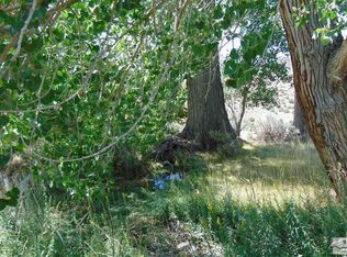 429110 Sutro Springs Rd #10-004-291, Dayton, NV 89403