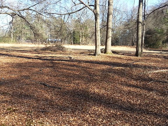 Cleared Section from front