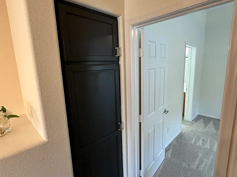 2725 E Mine Creek Rd #1080 — Photo 31