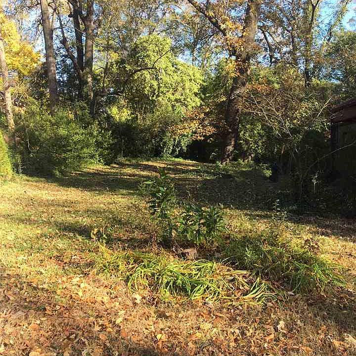 2nd image of 1305 Arnette Ave
