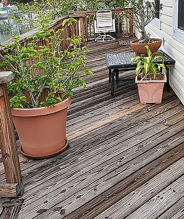 Wrap Around deck East view