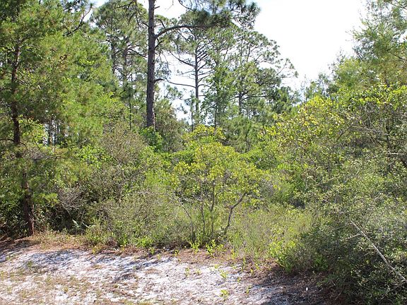 2nd image of 278 Magnolia Bay Dr